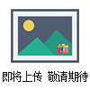 俄羅斯NT-MDT針尖耗材